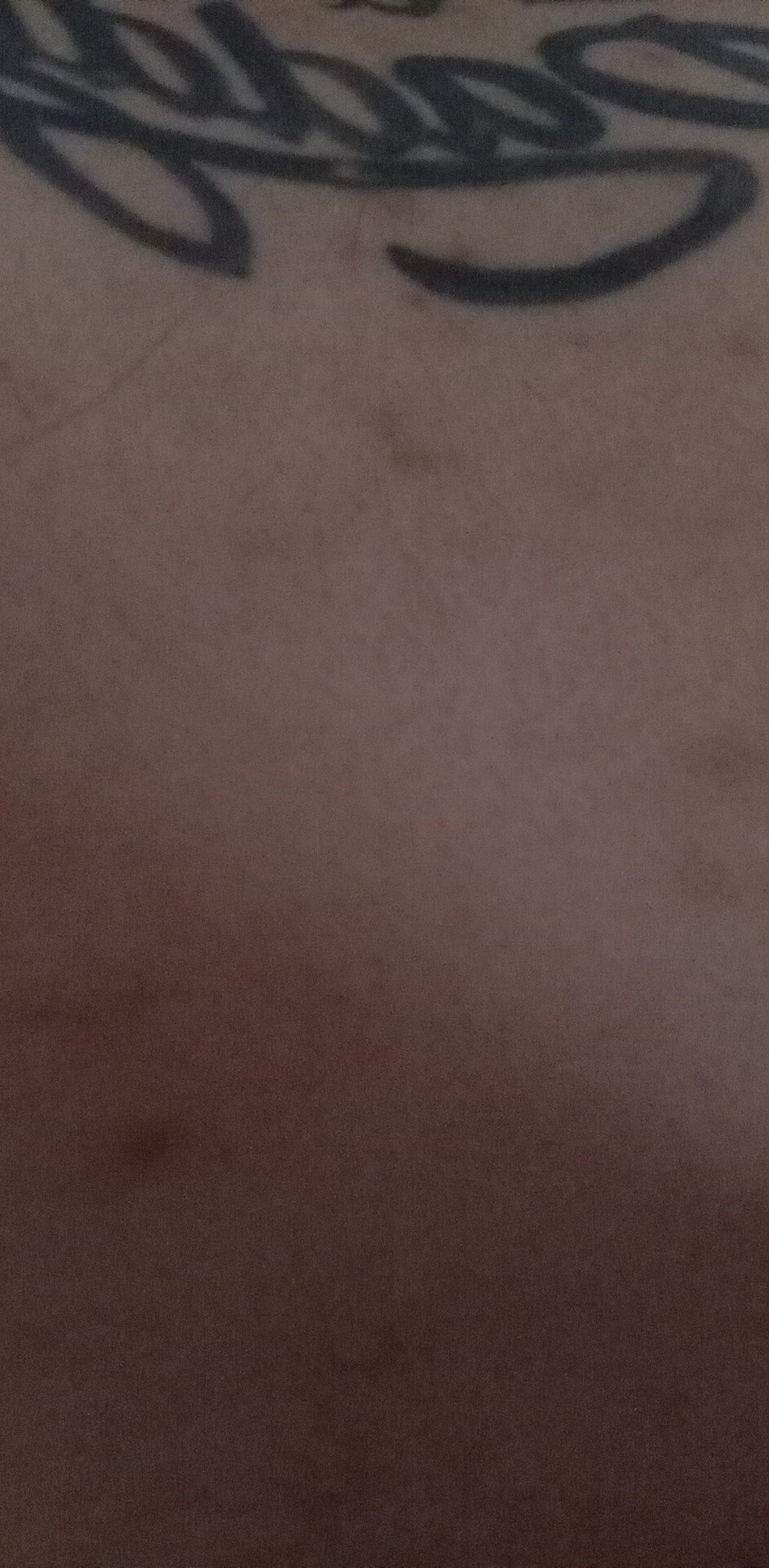 Bandidodotado1