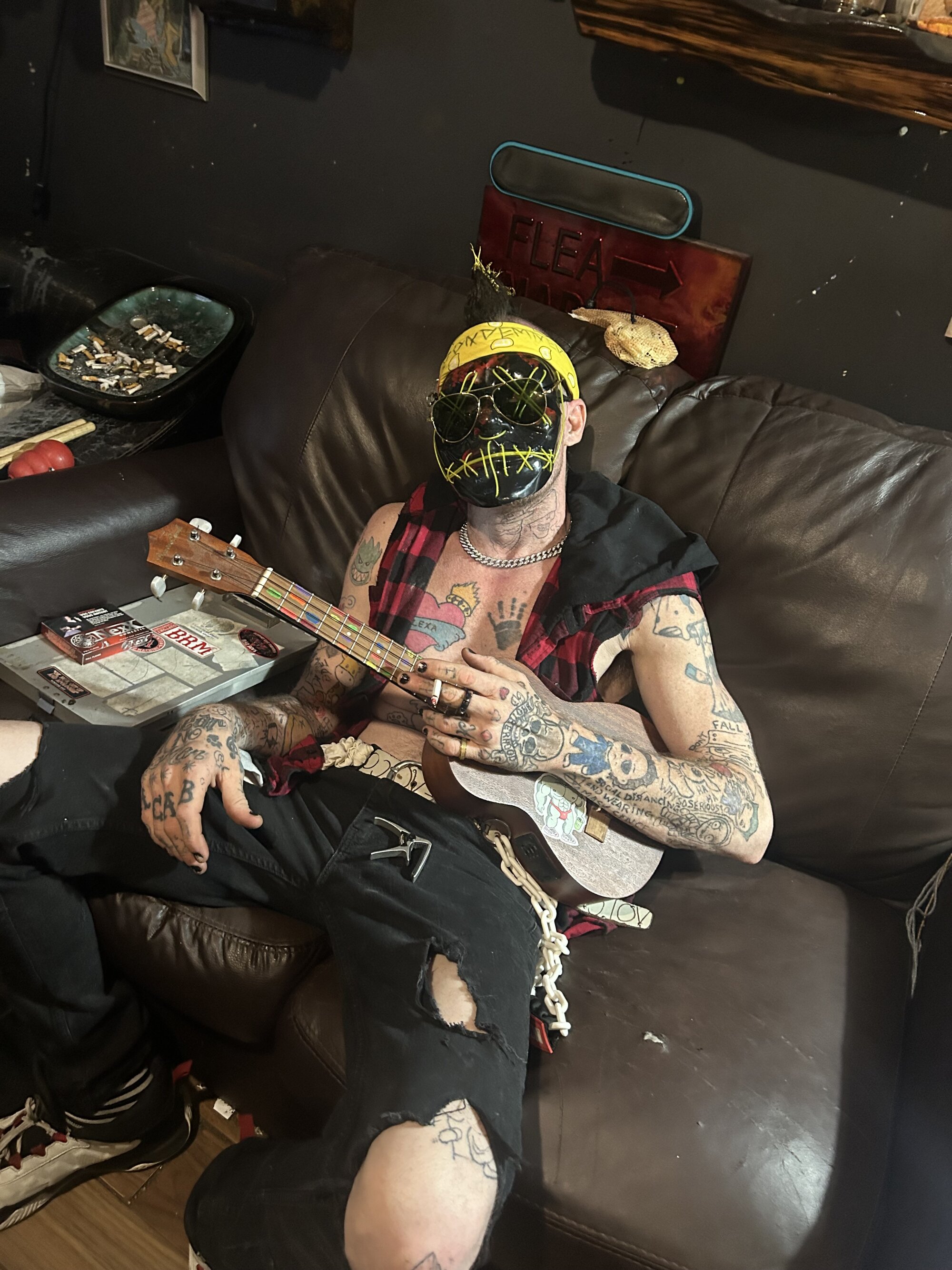 wilmadickfitz