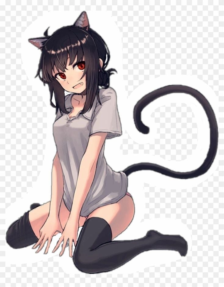 tonkawilde
