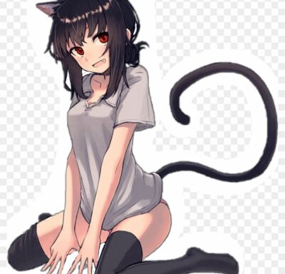 tonkawilde from stripchat