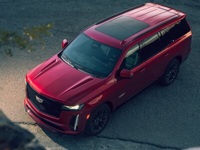 Tony_Verserty Live Cam on StripChat