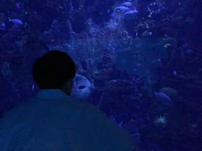 hiro0844 from stripchat