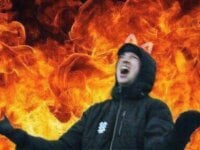 Bicho_74's webcam live show