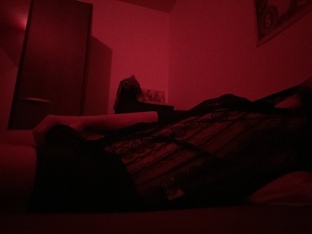 Shadowx699's Offline XXX Chat