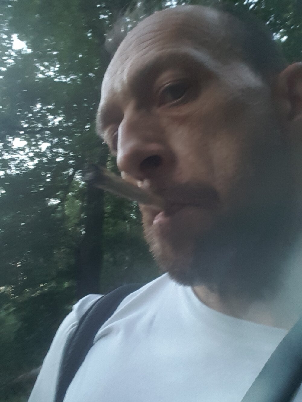 HessenHengst78's Offline XXX Chat