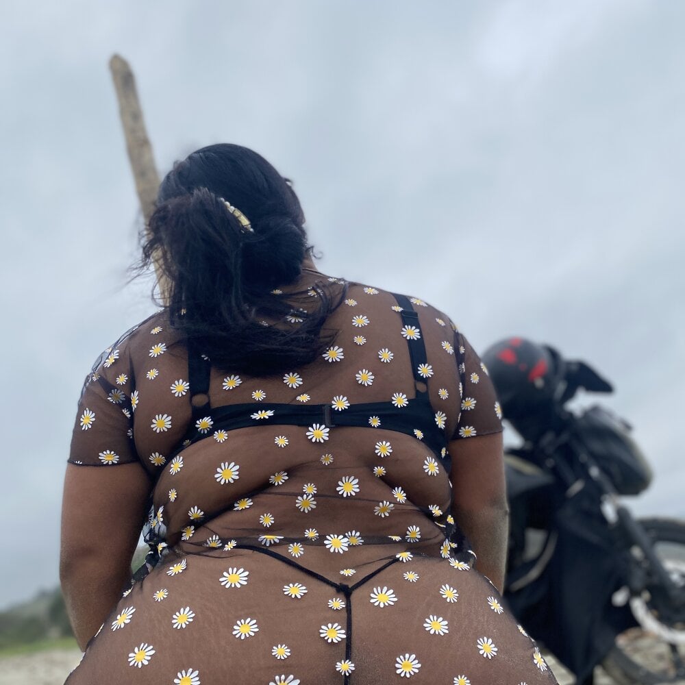 andymely53 profile
