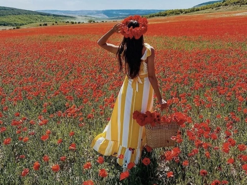 Live sex webcam photo for BlushingLady #290311071