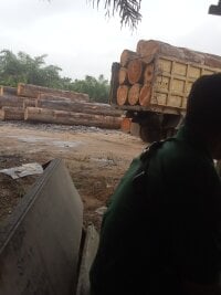 Andigondrong123's webcam live show