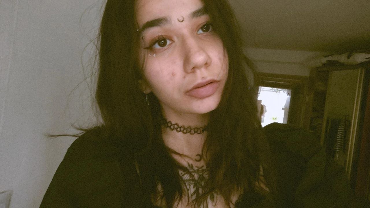 Lunel_kitten