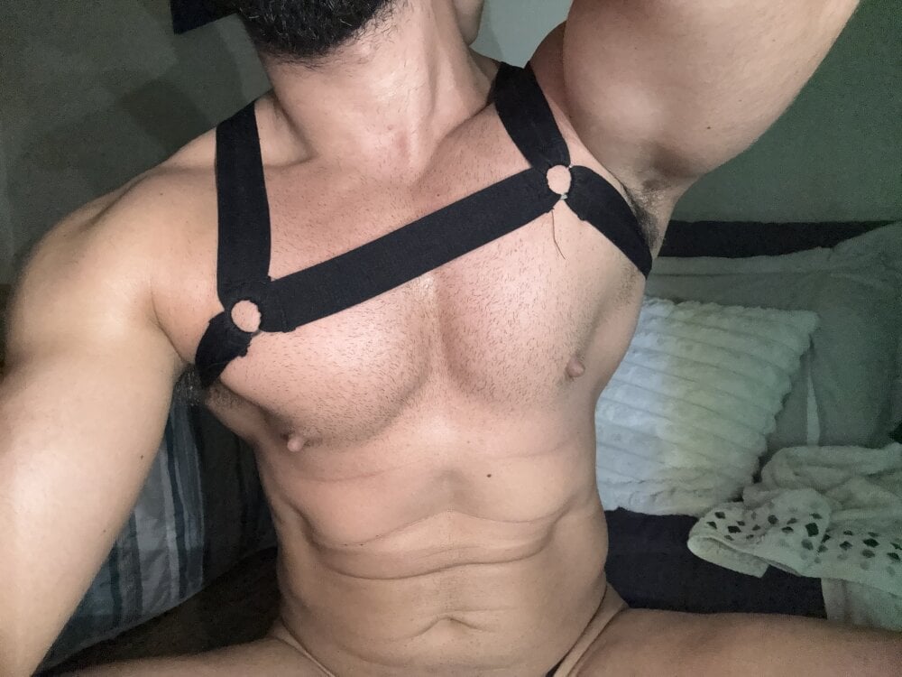 arabiannights66 profile