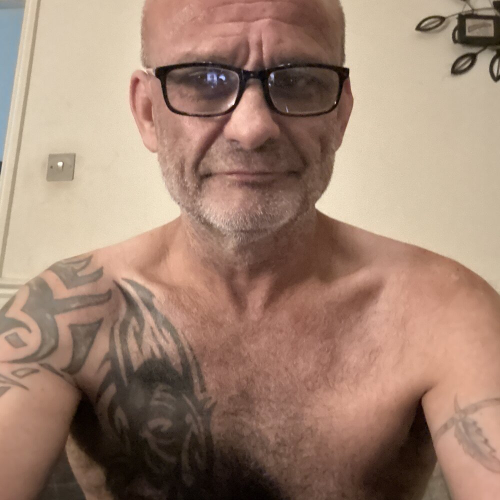 ShyDave81 profile