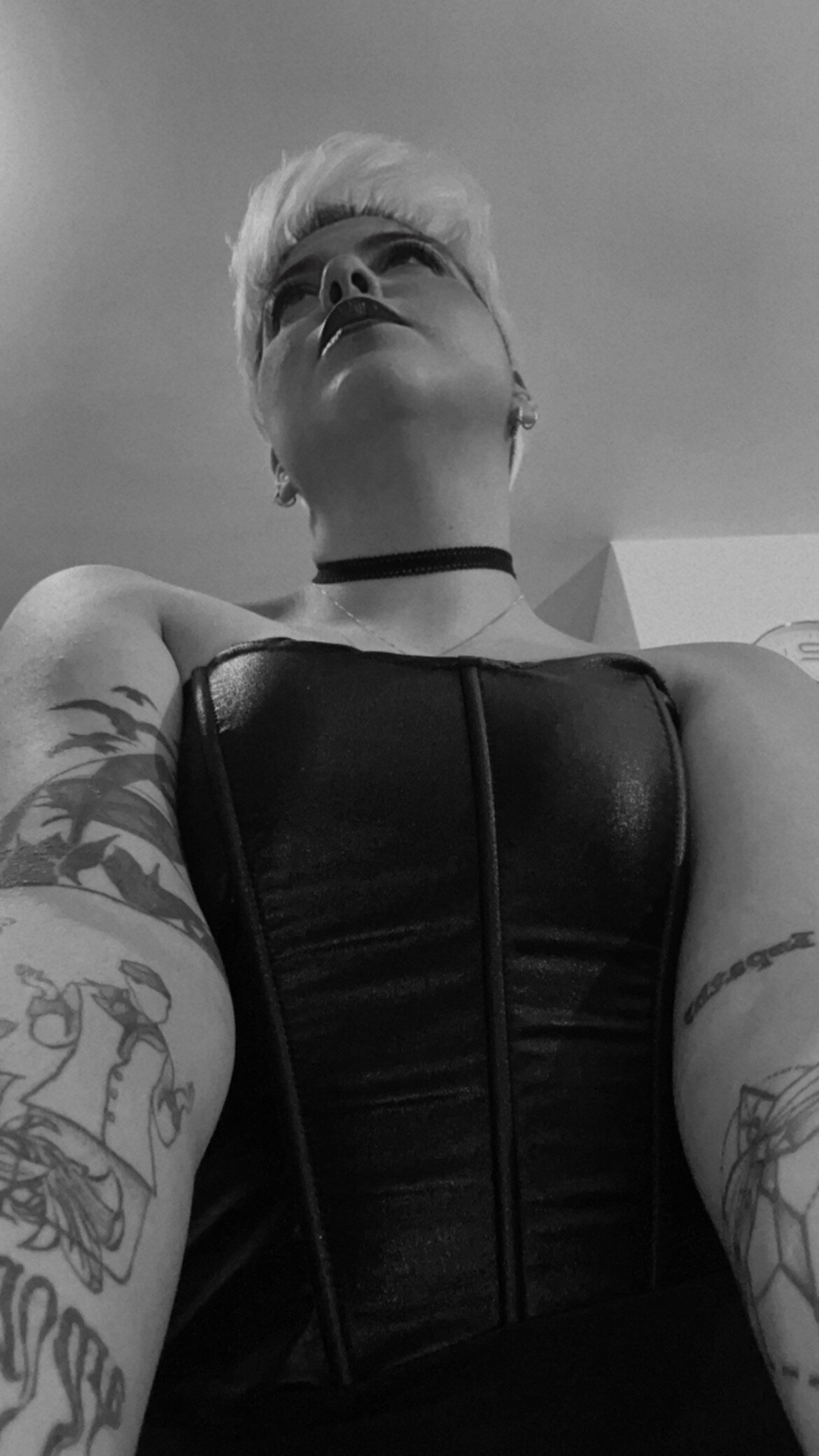 Dakota_Wolf0