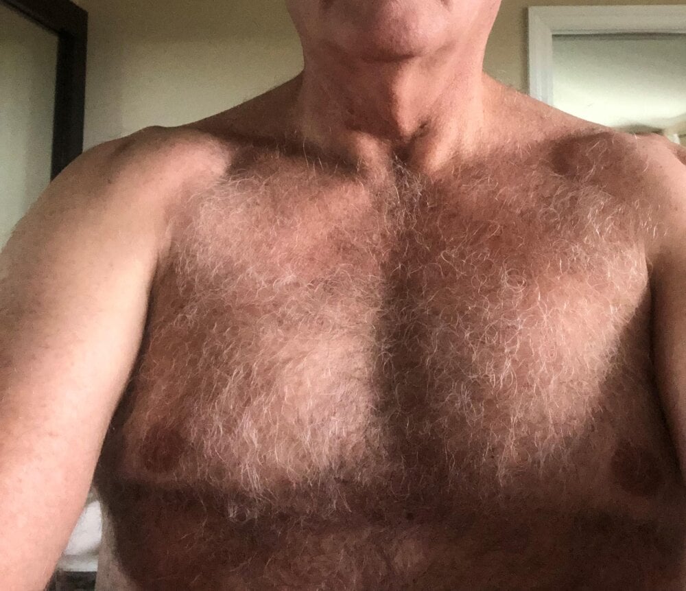 wsteel66 from stripchat