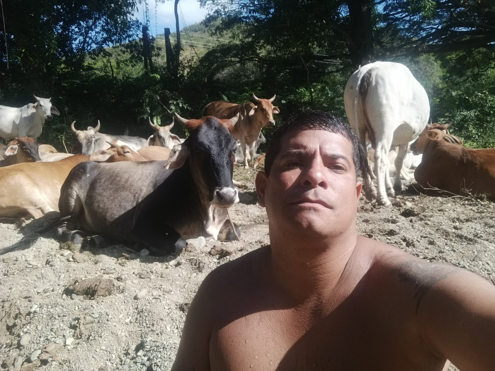 josepis2
