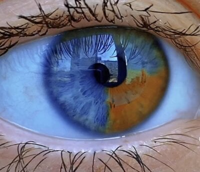 milalq from stripchat