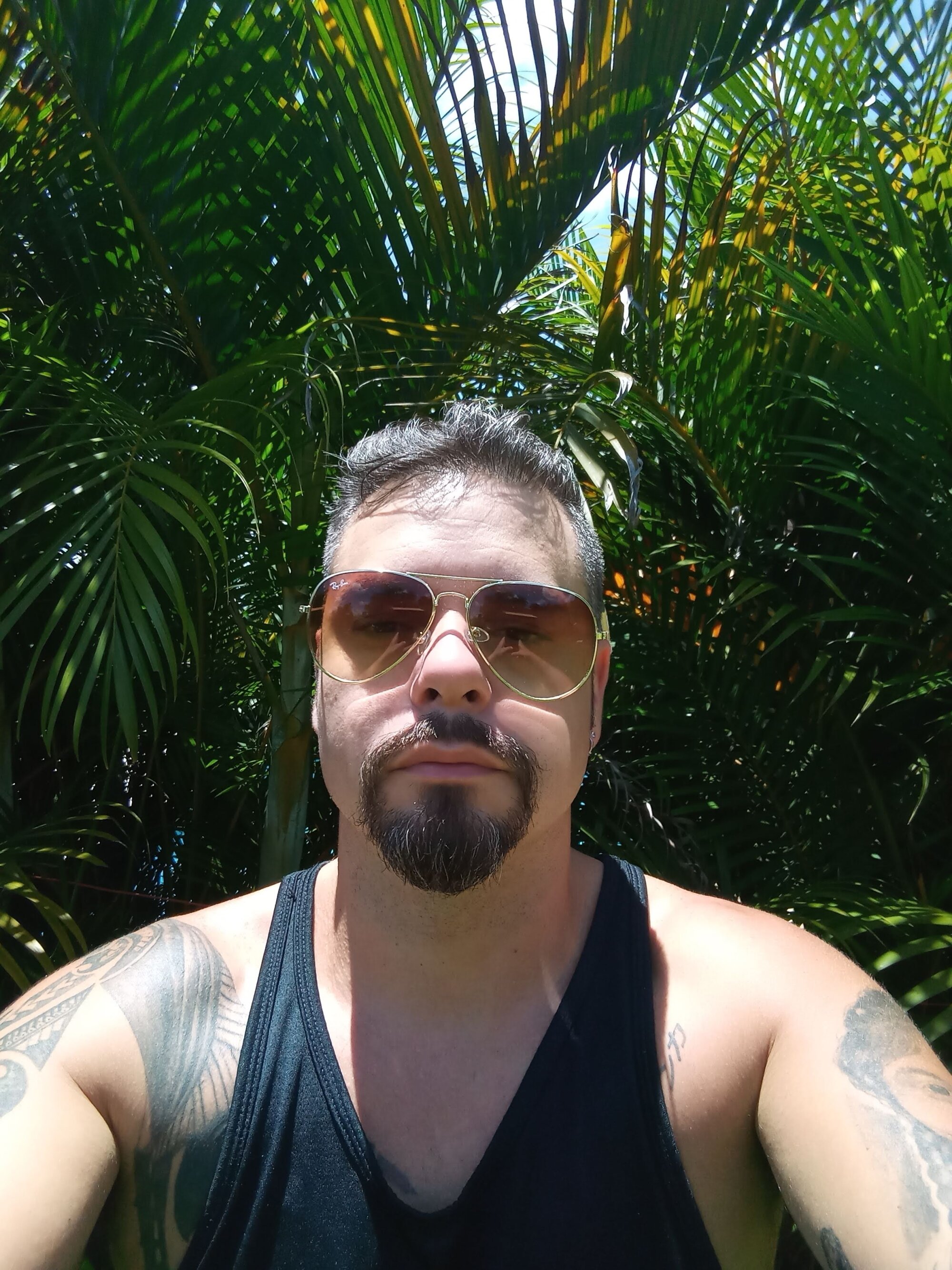 Dom779900