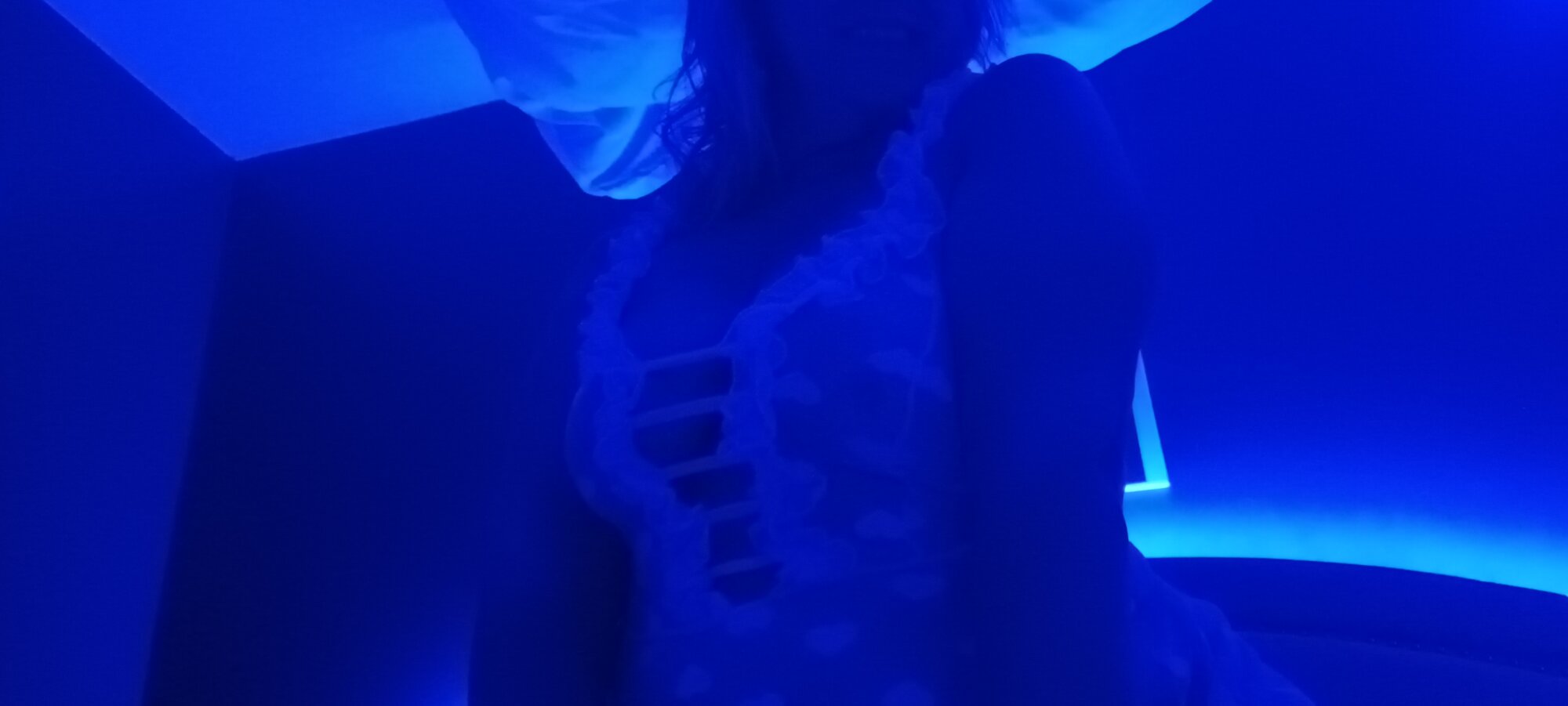 PapillonBleu71