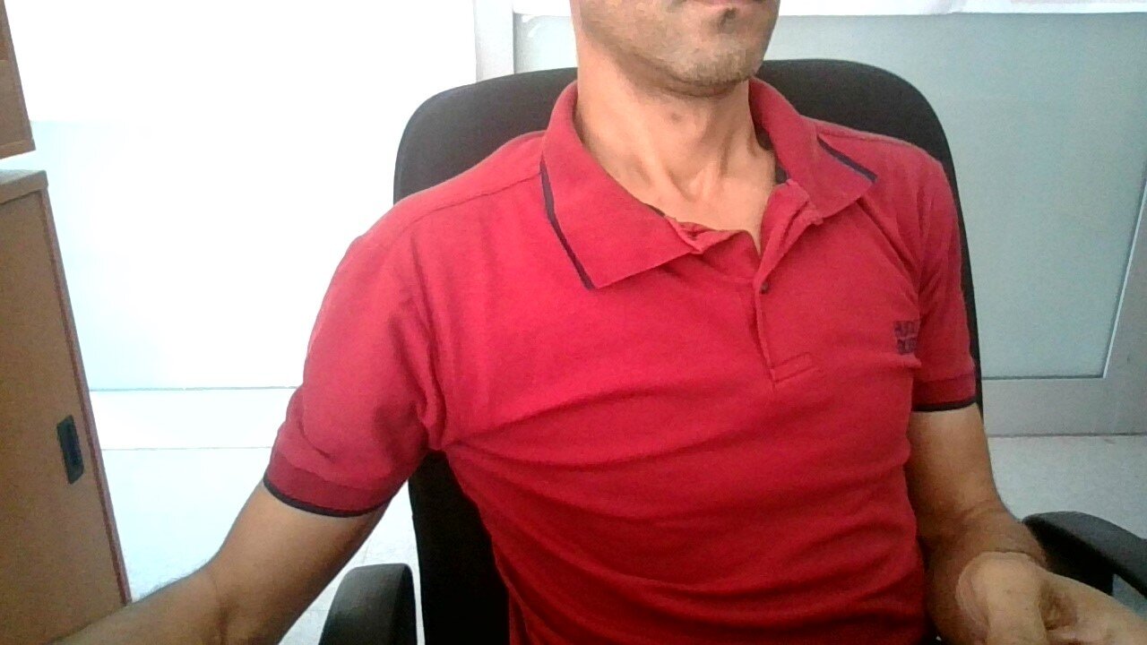 massol290
