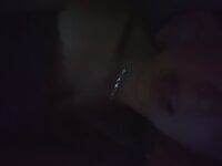 EvaxXxAdam's Offline Chat Room