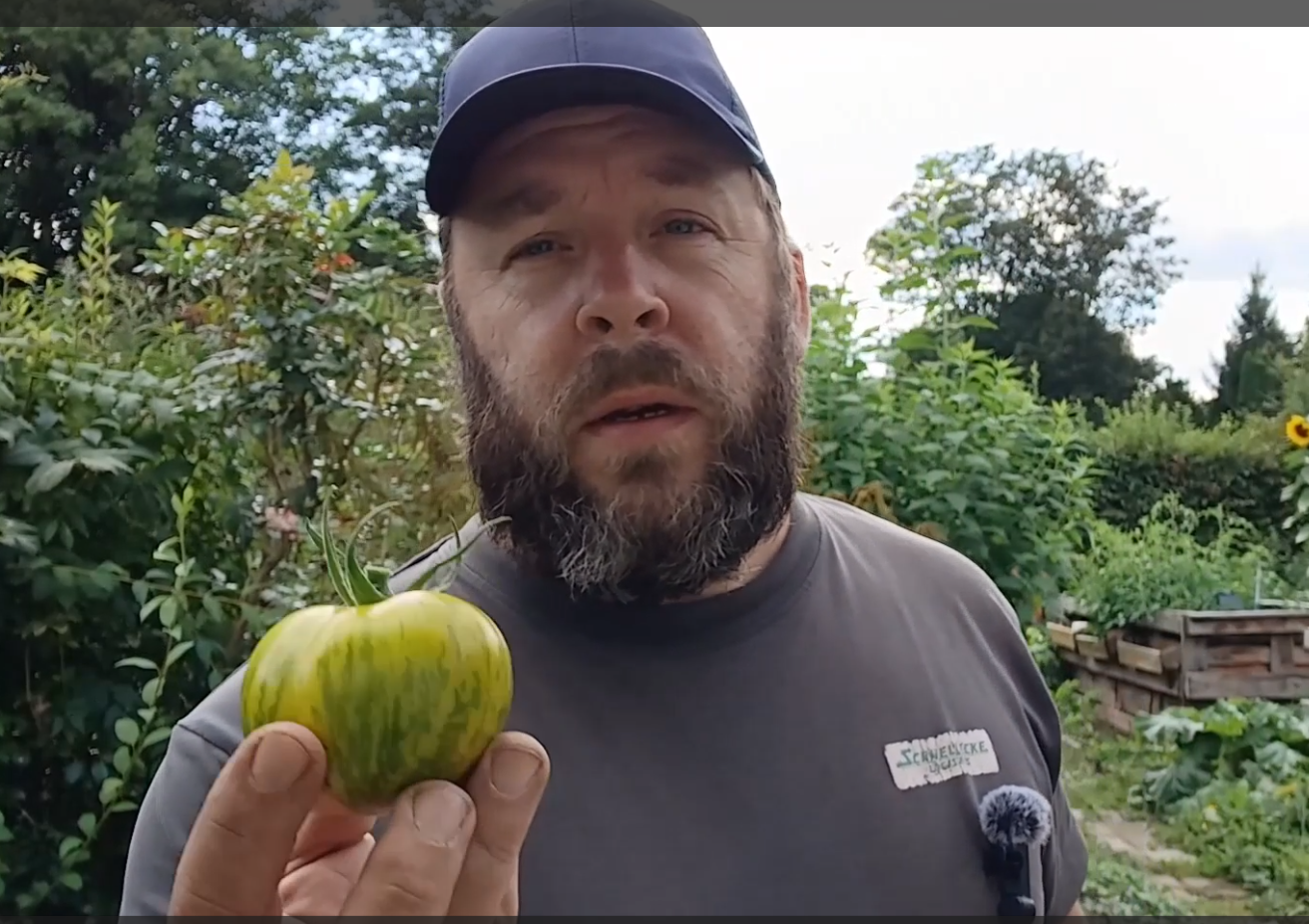 Tomatengaertner