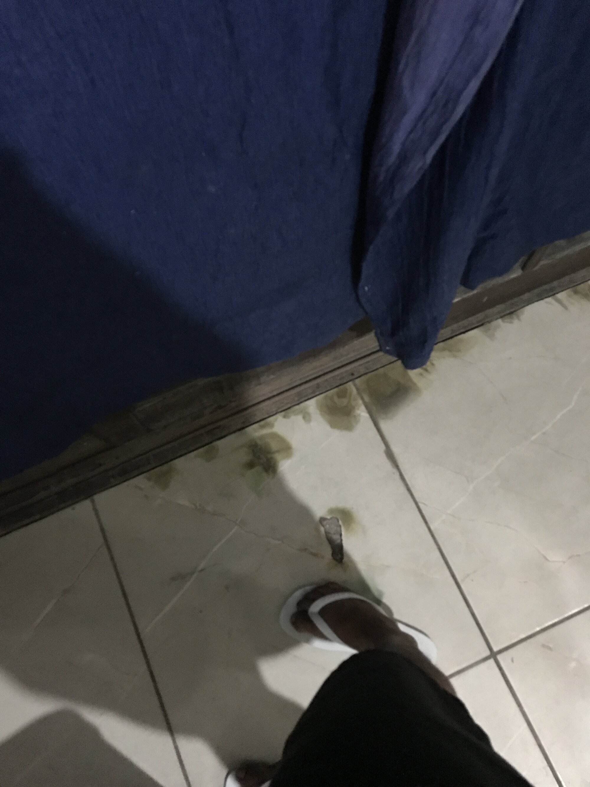 Carioca23cmRJ