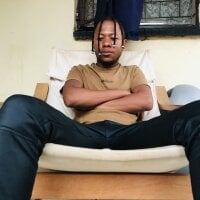 Модель Perveyboy1