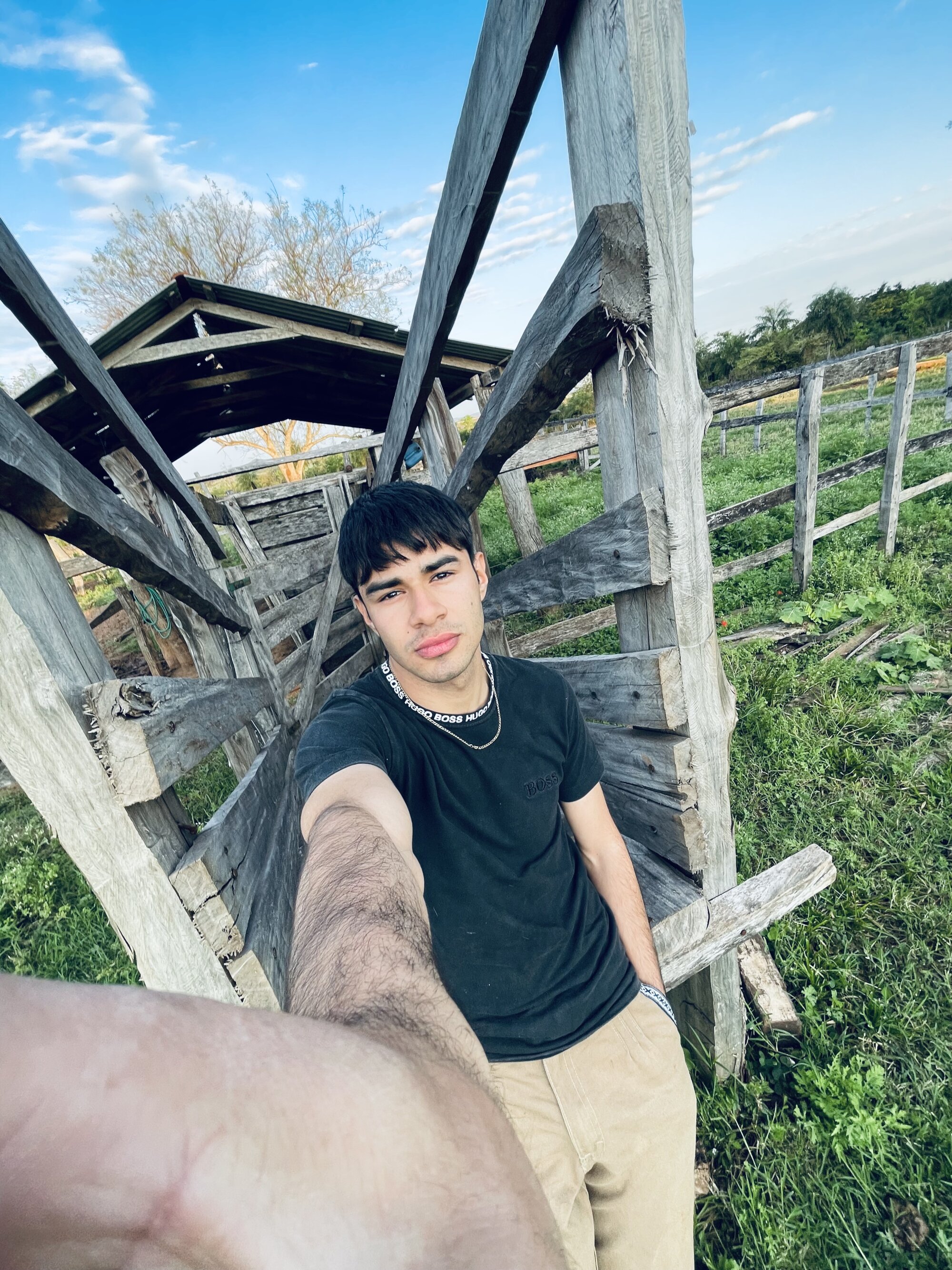 erwingirett3