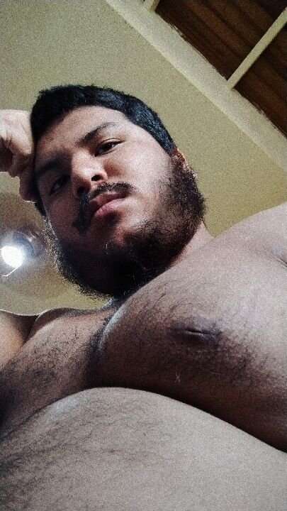 xAlbertoElOso