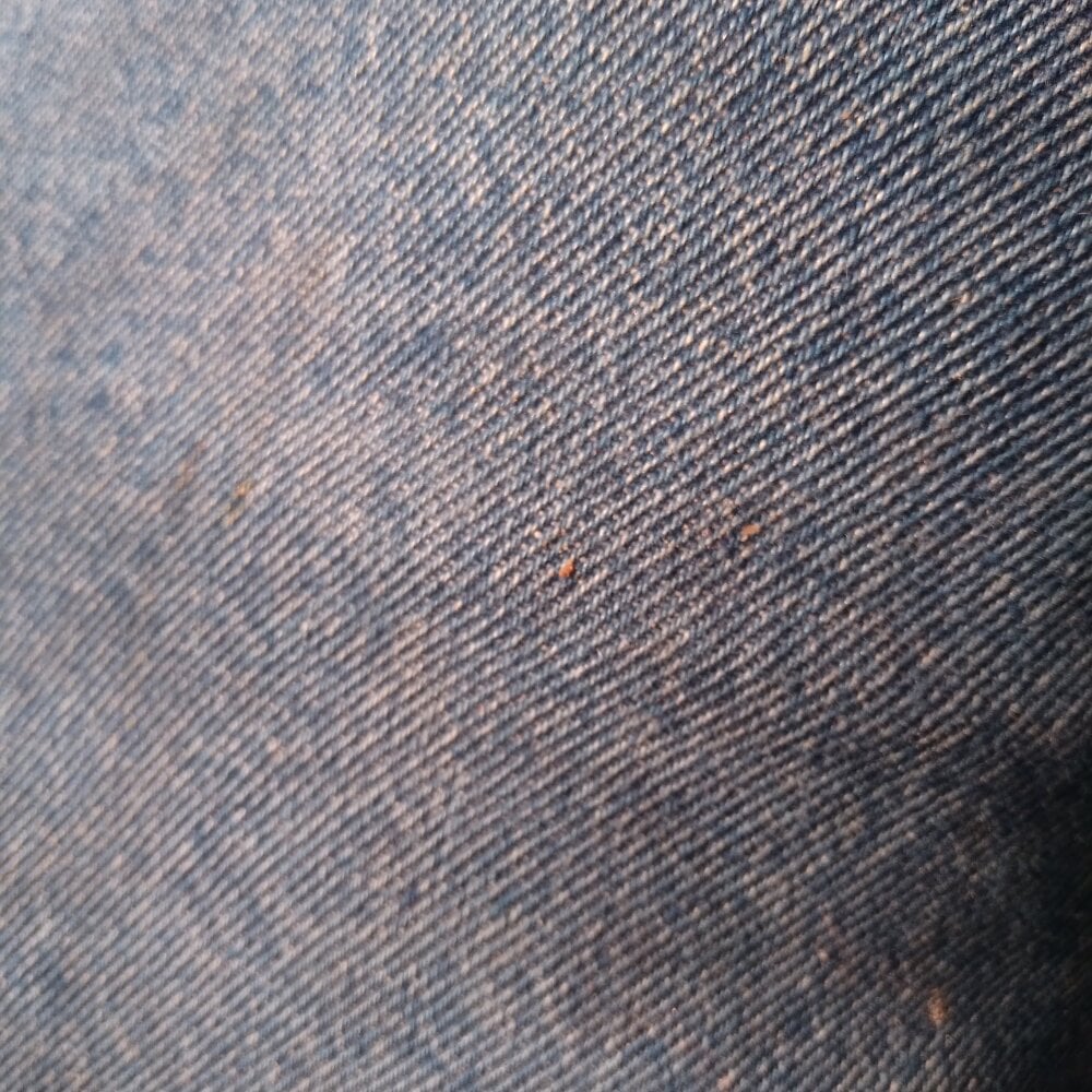 bicuriousbottomwy profile