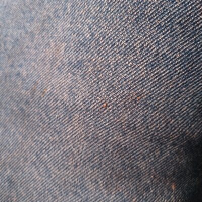 Bicuriousbottomwy