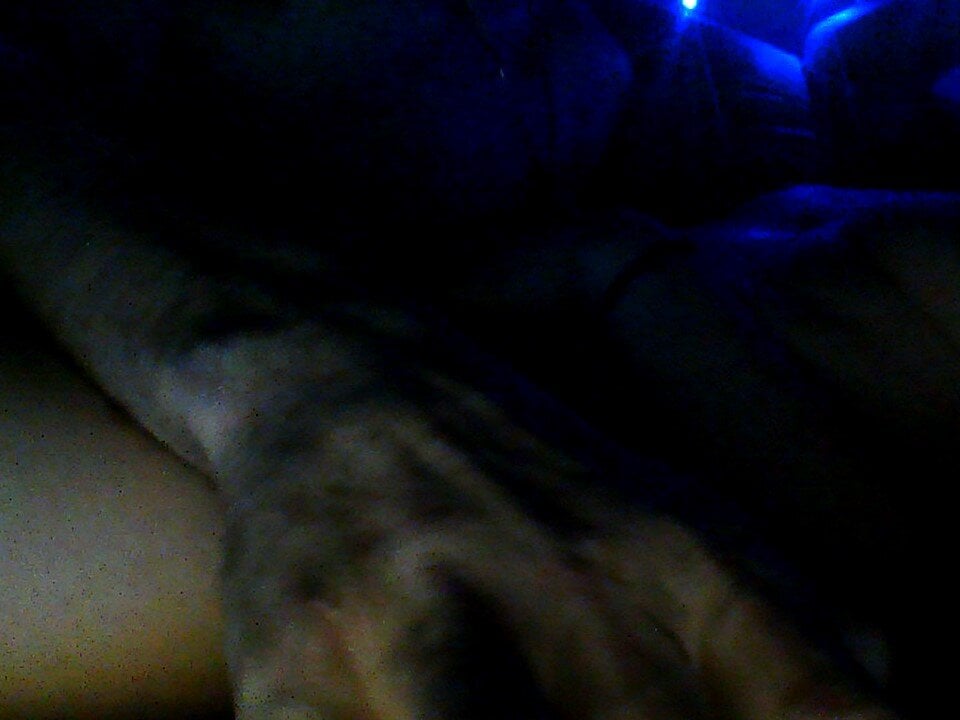 Offline XXX chat modela danibluetoo