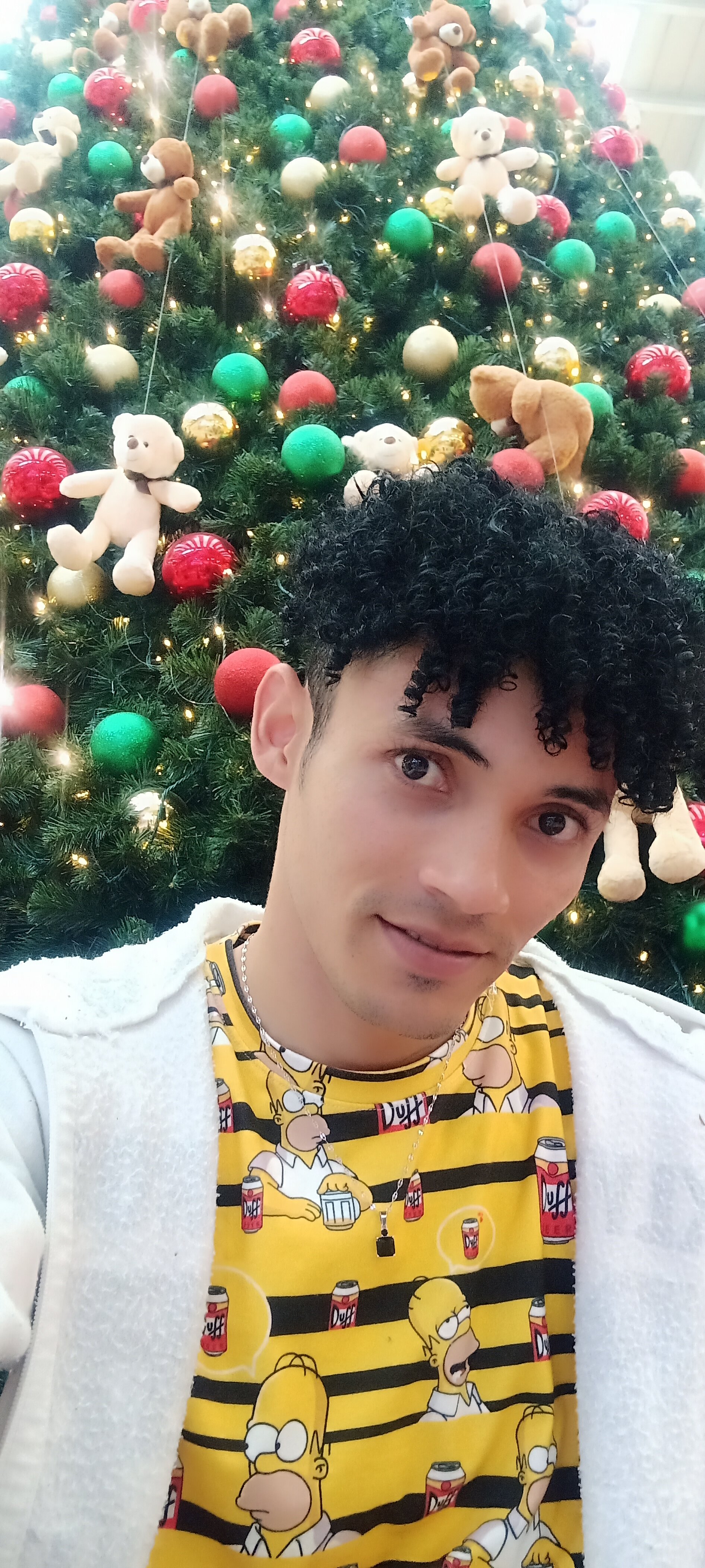 fresa_27