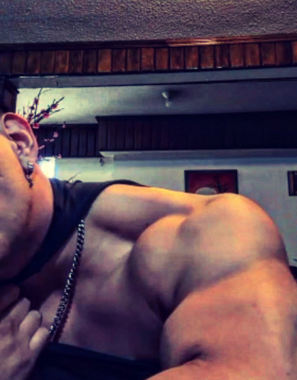 Herosfitnes