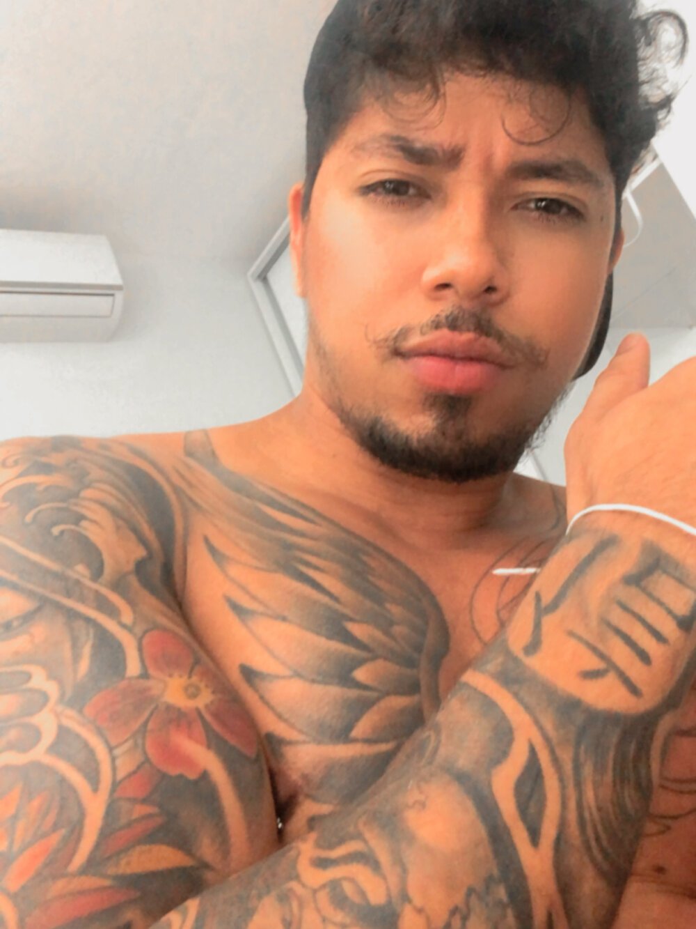 Chat con cámara offline de moreno3398