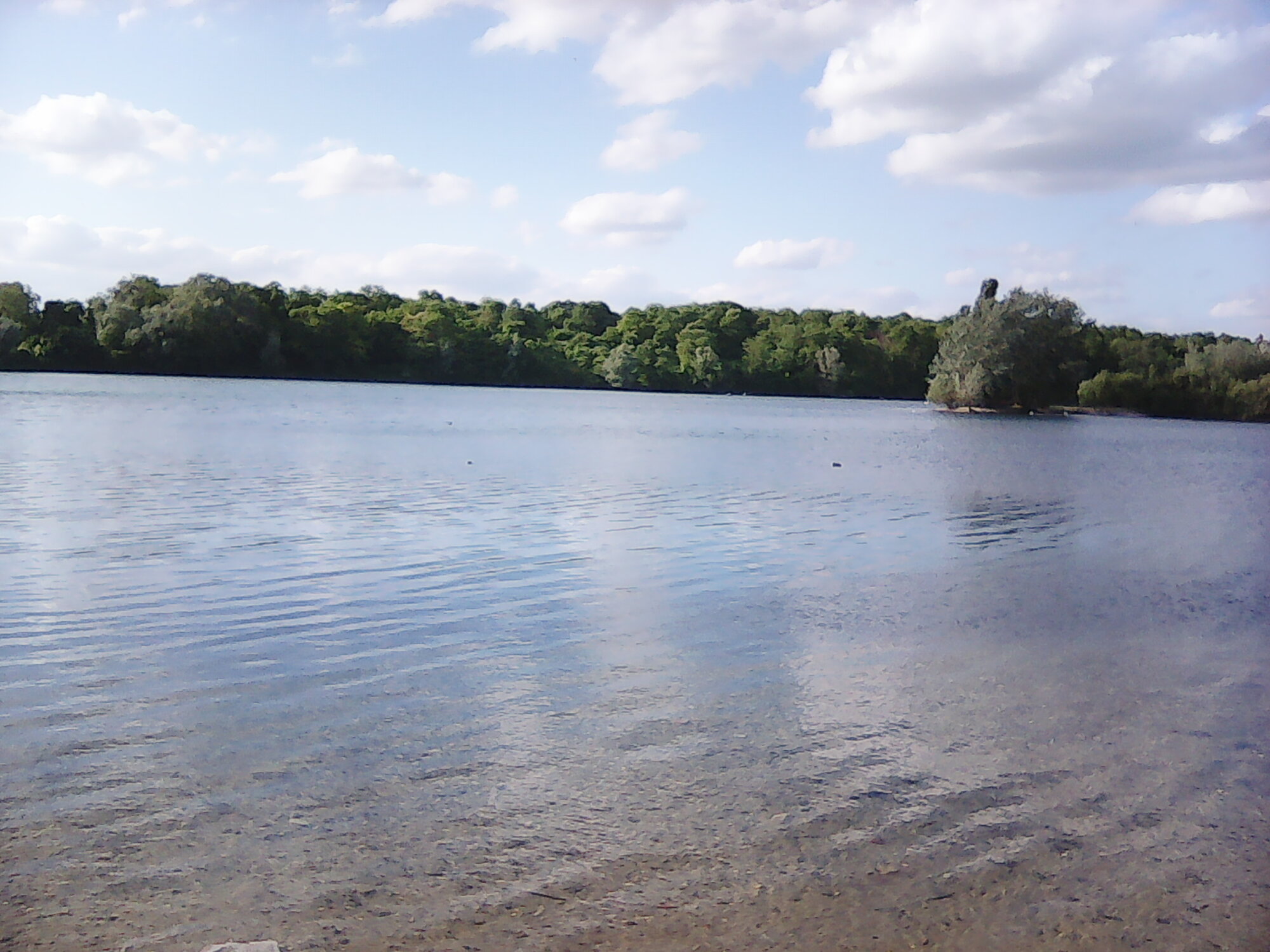 big_heart live webcam