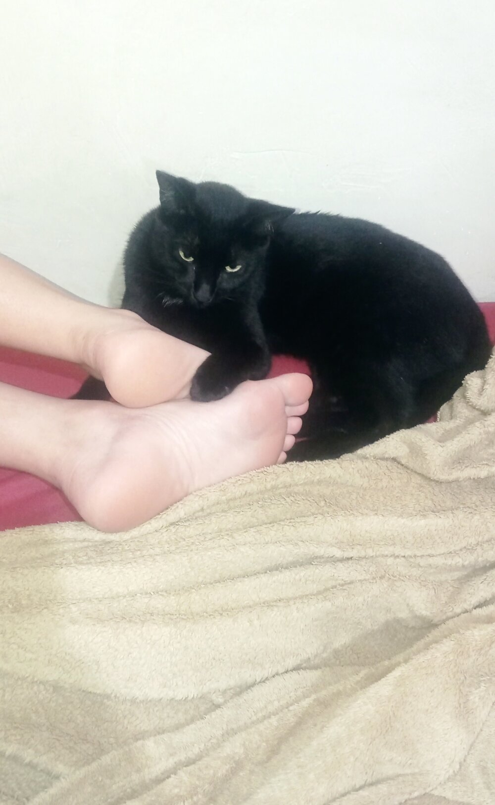 Live sex webcam photo for NyaGirl #290209497