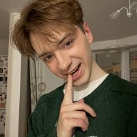 Модель Paul_Holt