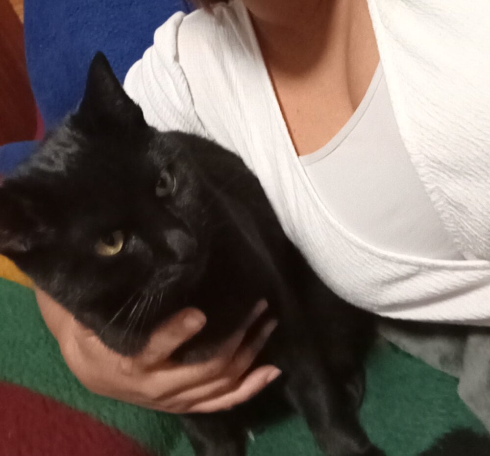 iluvcams.com daisy91 livesex profile in spanish cams