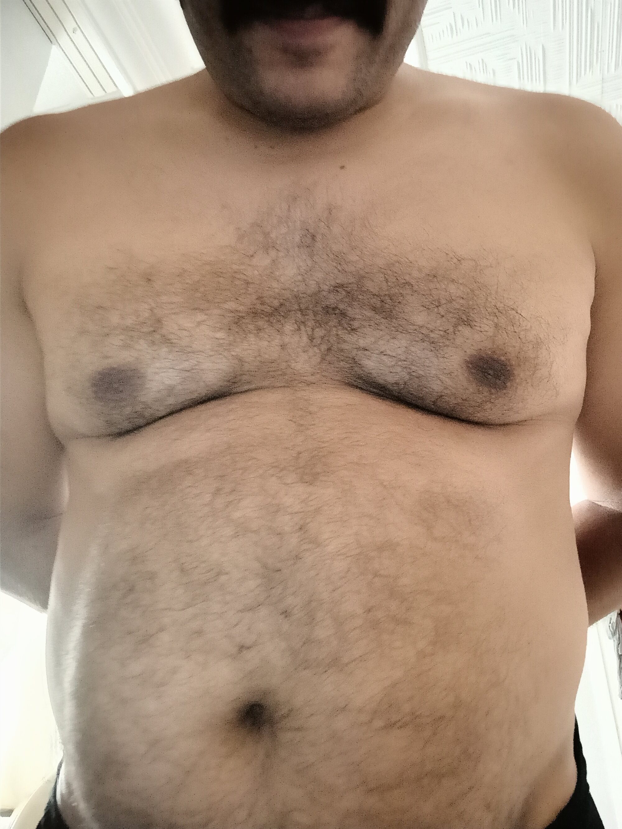 bearistanbul