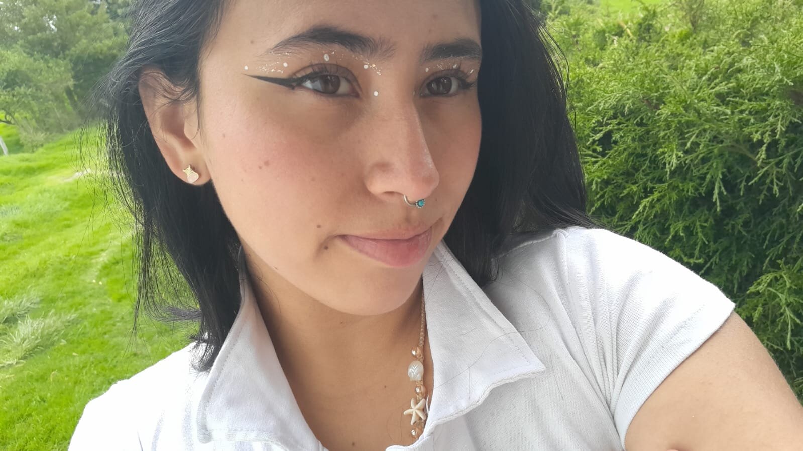 Tulimoon_v