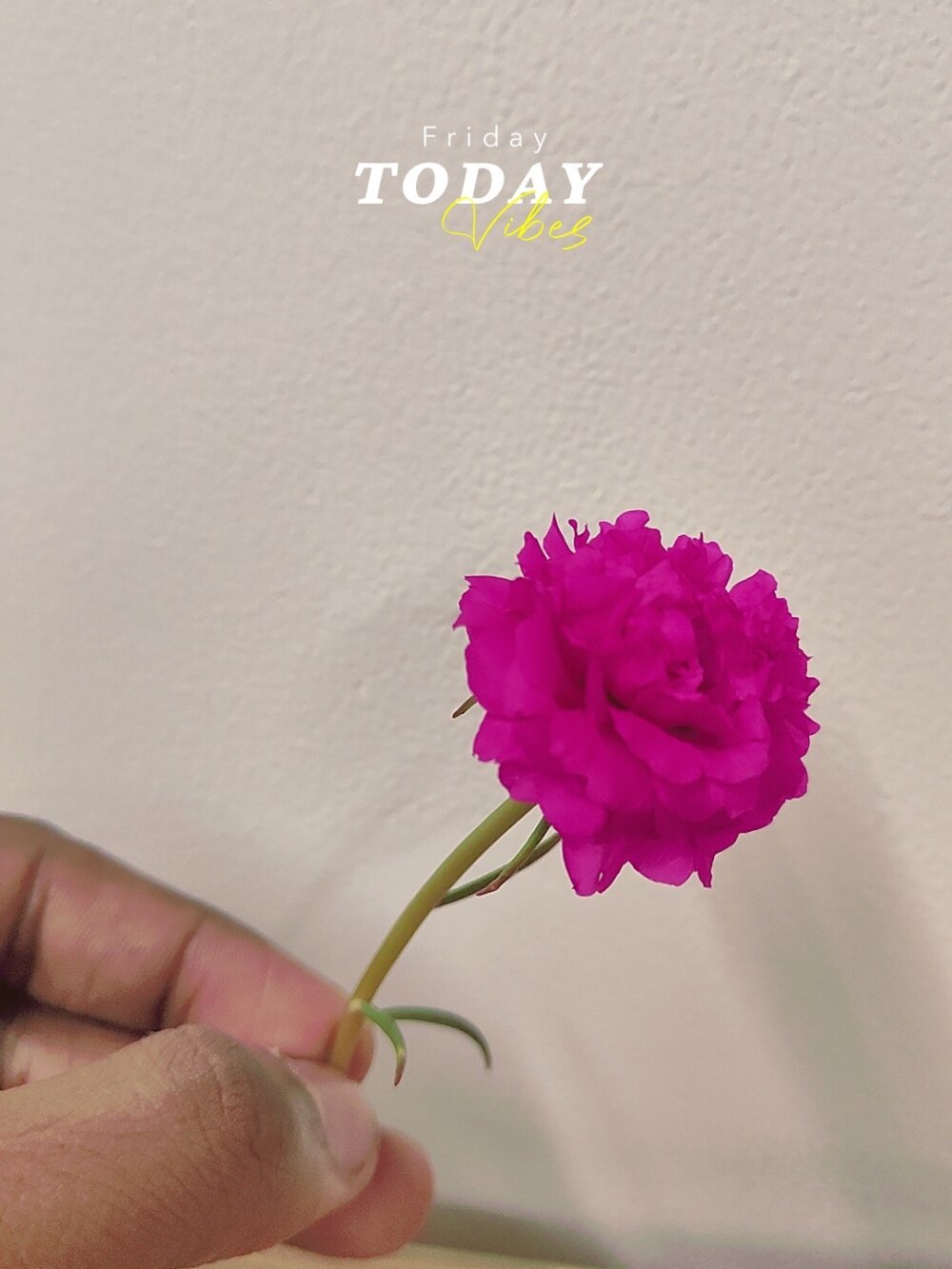 jessydiy's Offline XXX Chat