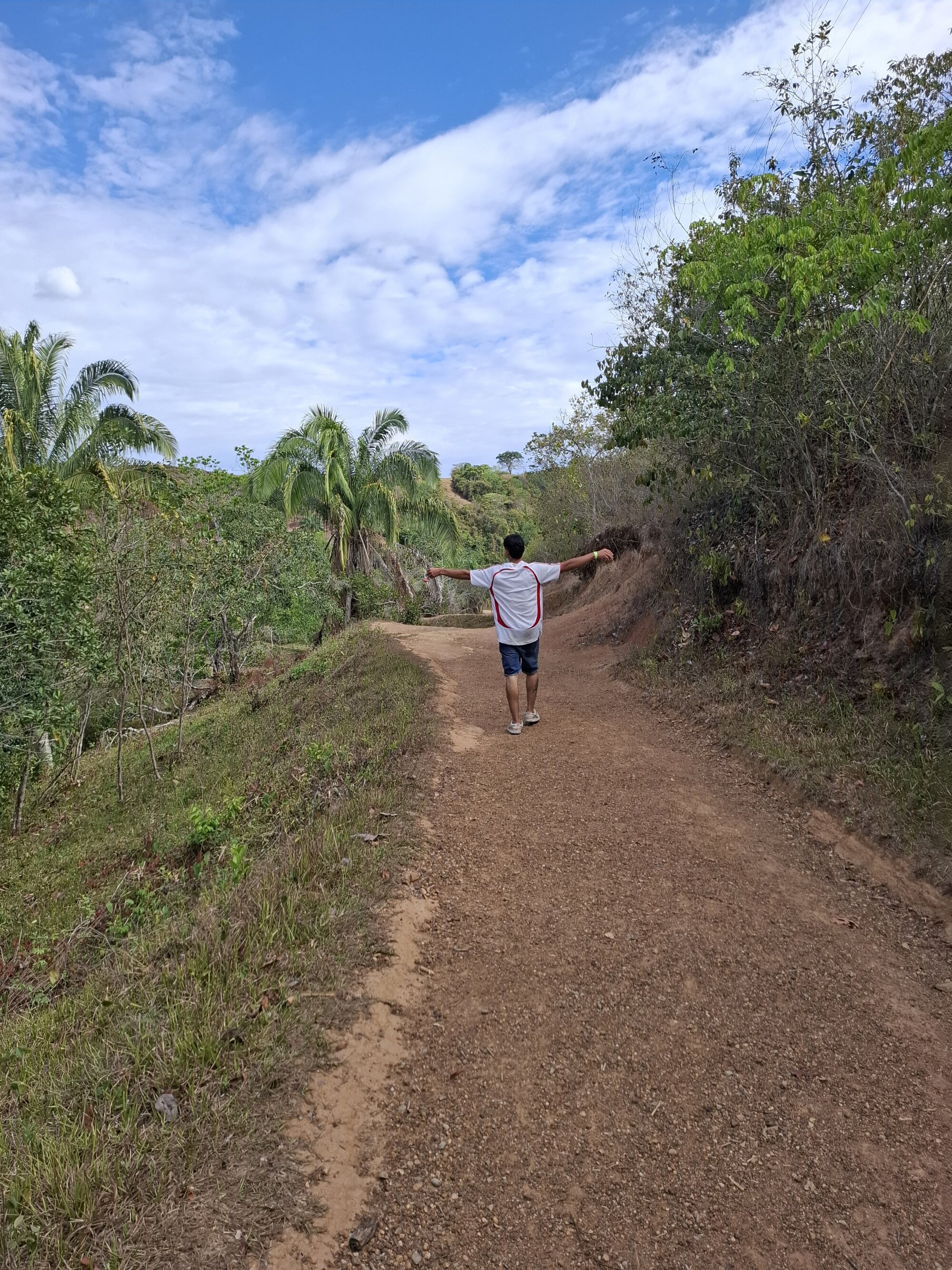 Juan_vi29