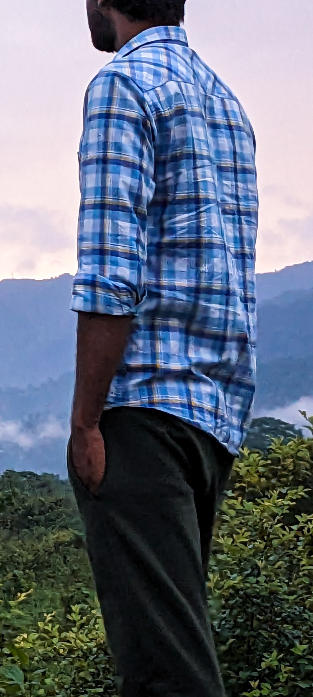 WolfRohit