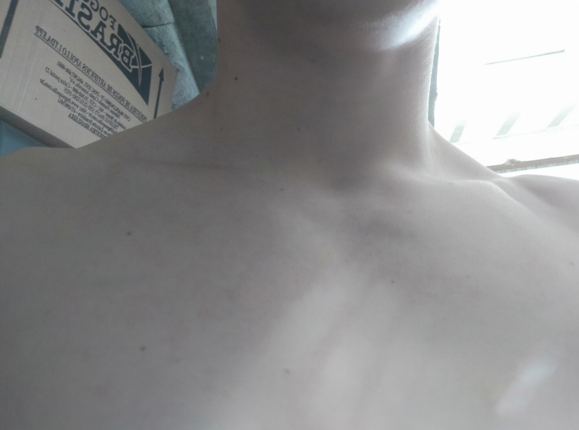 JoseBezerr