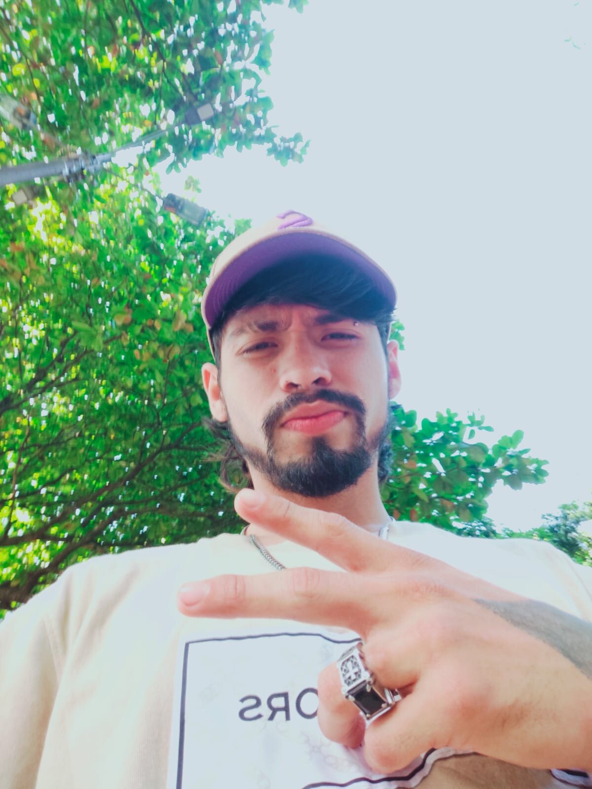Terry_HotBear