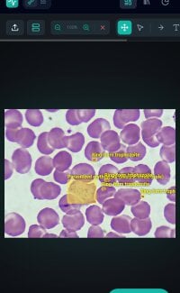 thickPinkdick's webcam live show