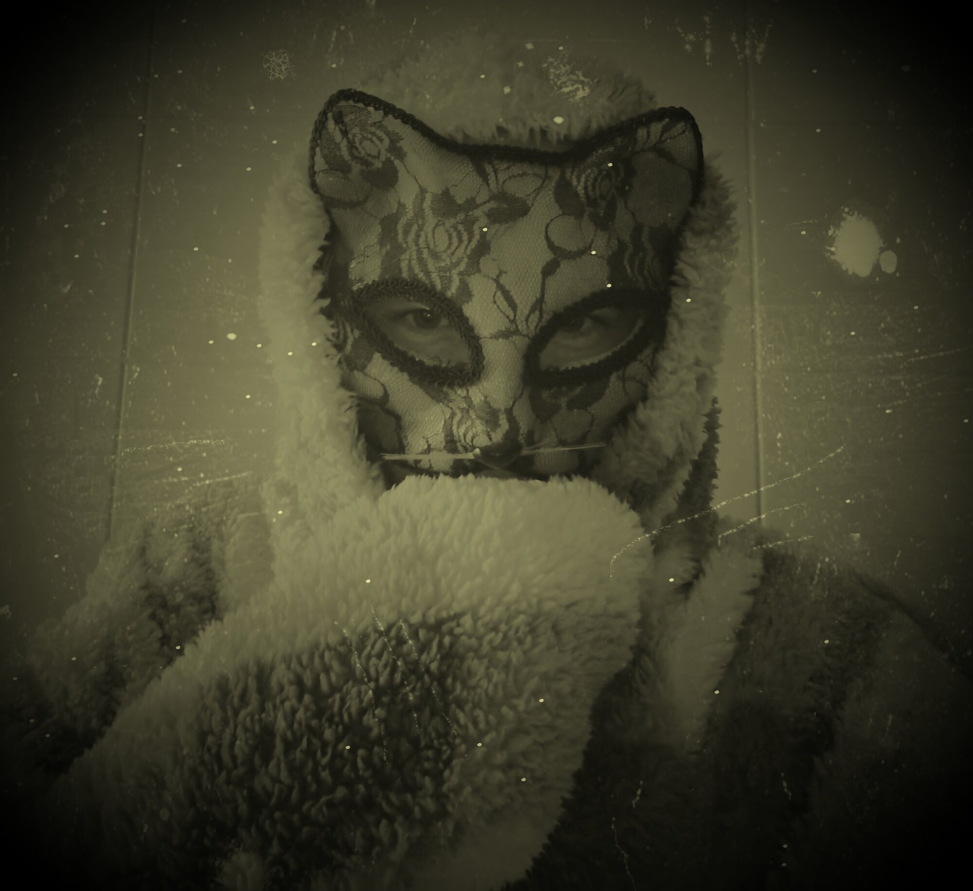 AnimalModeLive