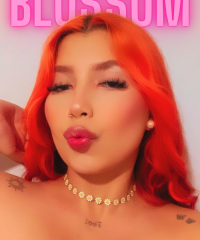 priimrose_'s Offline Chat Room