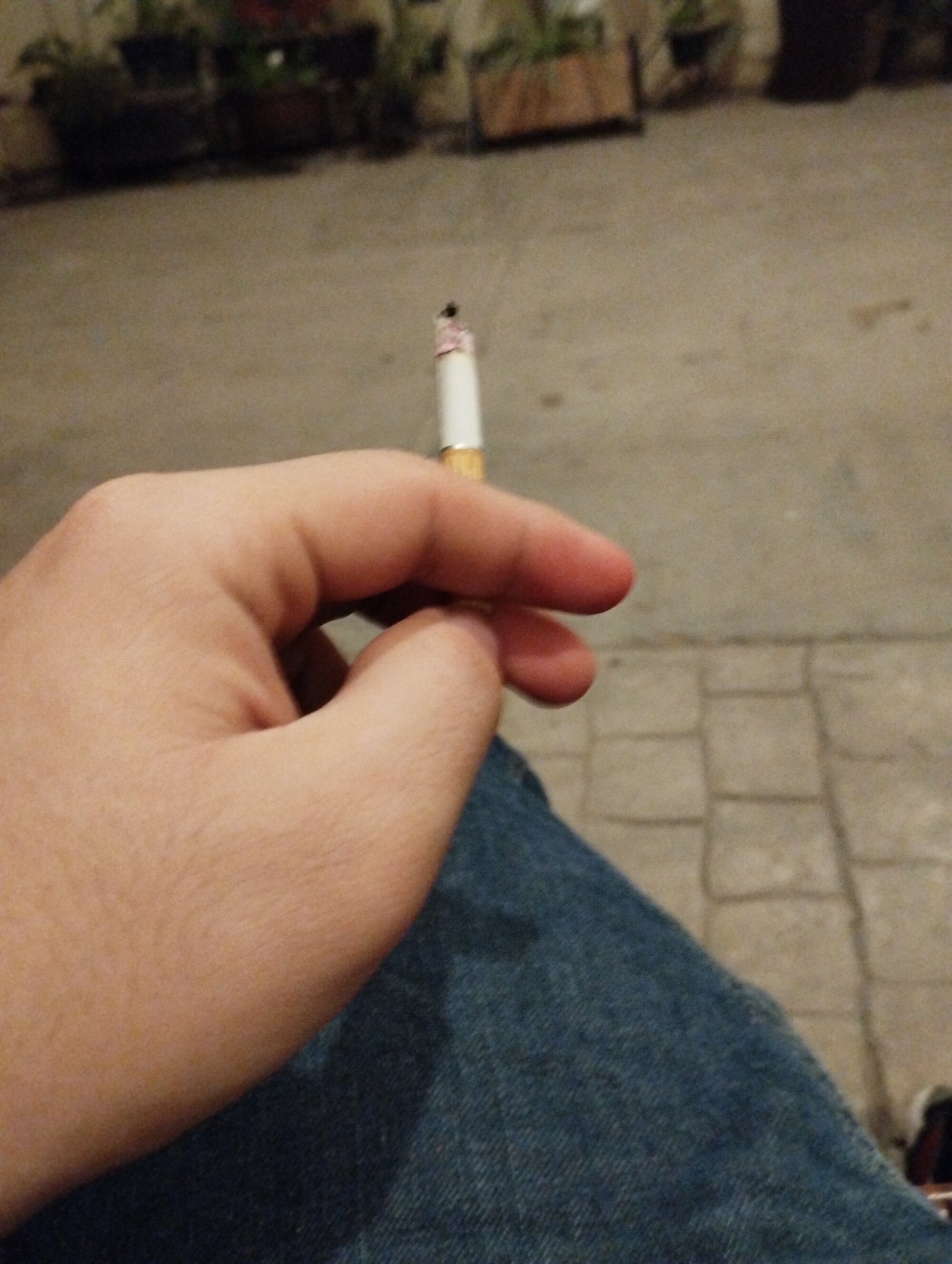manolito7877