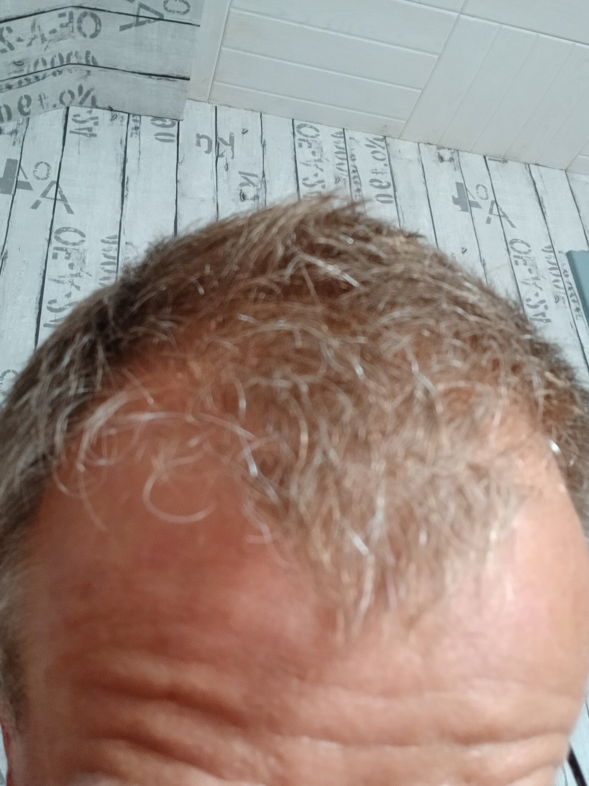 claudeperver68800